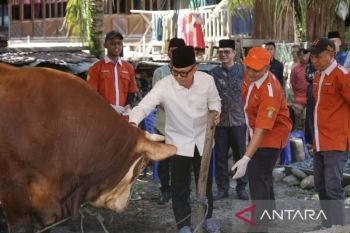 Pemkab OKU kurbankan 12 ekor sapi, disebar hingga pelosok desa