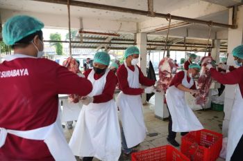 Kurban di simpang peradaban