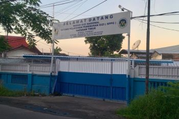DSI runs  profit-oriented business: Danantara