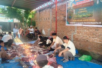 DSI runs  profit-oriented business: Danantara