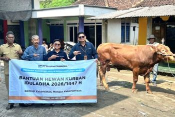 Grup MIND ID salurkan 1.735 hewan kurban ke Sumatera hingga Papua