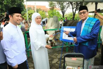Plt Wali Kota Madiun serahkan sapi kurban Presiden ke Masjid Az-Zahro