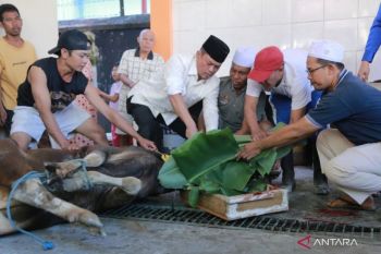 Idul Adha momentum personel tingkatkan iman dan taqwa