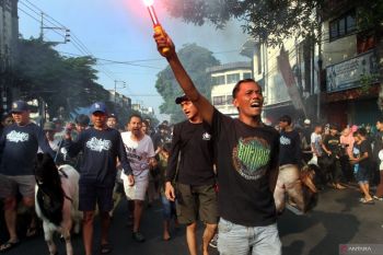 Tradisi pawai hewan kurban di Malang