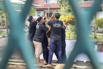 Lapas Wirogunan merayakan Hari Raya Idul Adha bersama warga binaan