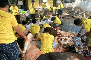 Golkar DKI distribusikan 117 hewan kurban di lima wilayah Jakarta
