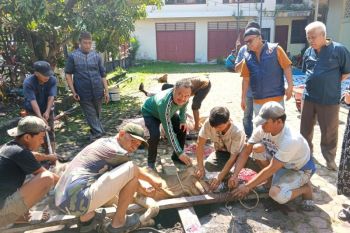 Idul Adha 1447 H, PWI Sumut sembelih 6 hewan kurban