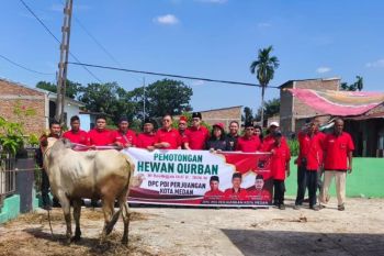 DPC PDI Perjuangan Medan serahkan empat hewan kurban di tiga lokasi