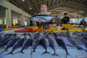 Musim tuna di Sendang Biru