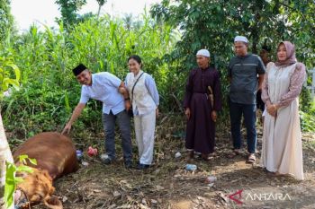 Polres HST sembelih 6 ekor sapi kurban pada Idul Adha 1447 H