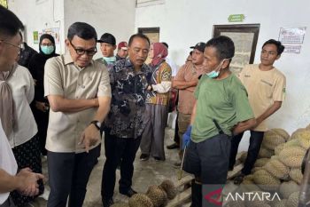 Barantin bantu optimalisasi kualitas ekspor durian Parigi-Moutong