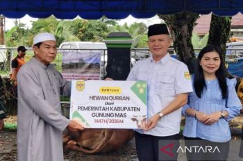 Bupati Gumas bersyukur bantuan kurban bisa meningkat di tengah efisiensi