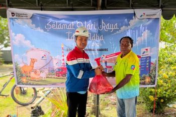 Pertamina Patra Niaga bagikan 134 hewan kurban di Papua pada Idul Adha 1447 H