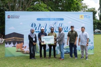 PLN salurkan 23 hewan kurban bagi 1.540 warga di Tanah Papua