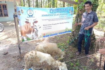 FDP salurkan 54 ekor hewan kurban Ke perbatasan Aceh