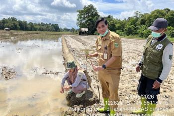 Gapoktan Desa Masingai II ikuti Gerdal Keong Mas