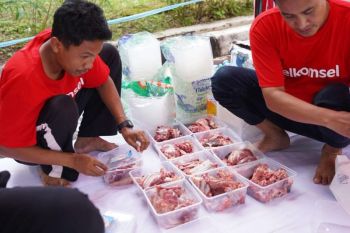 Telkomsel salurkan puluhan hewan kurban di area Pamasuka