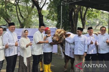 Danareksa dan Baznas bagikan 3.000 paket daging kurban ke warga Surabaya