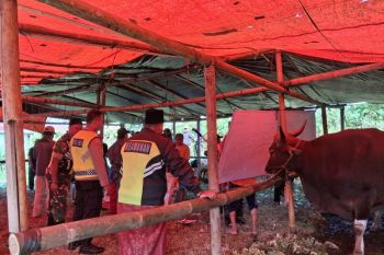 Momen Idul Adha yang penuh toleransi di Kintamani