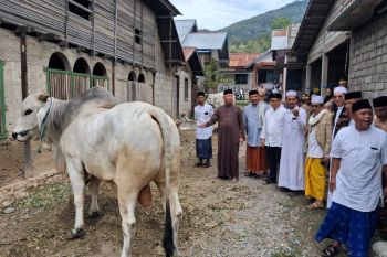Sebanyak 300 Warga Balane-Sigi terima daging kurban dari Presiden Prabowo
