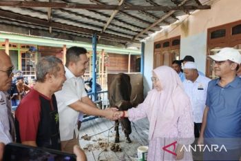 Pengurus Kadin di Jambi salurkan daging kurban untuk nelayan pesisir