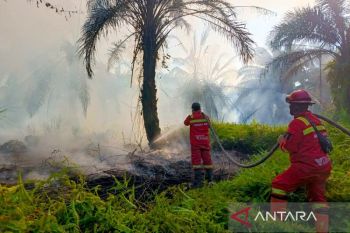 Manggala Agni berjibaku padamkan karhutla 20 hektare di Siak Riau