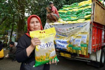 Bapanas pastikan harga beras SPHP tak naik meski fluktuasi kurs dolar