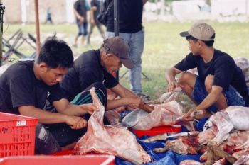 Mega Qurban 2026, Aliyah Rizq raih pengakuan ASEAN dan Asia Records