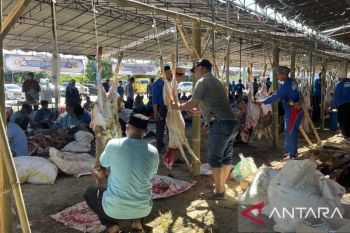 Kemendes jadikan Serang proyek percontohan penyaluran hewan kurban