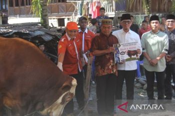 Bupati OKU serahkan sapi kurban Presiden Prabowo ke warga Muara Jaya