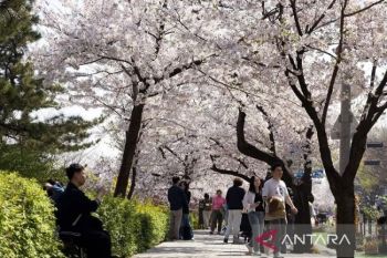 Korea Selatan Bebaskan Visa Sementara untuk Turis Indonesia