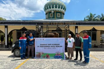 Dinkes Siak : Cegah stunting dari hulu ke hilir
