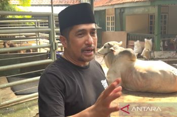 Irfan Hakim berkurban sapi lokal dan impor