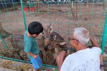Tim SAR temukan nelayan hilang di Teluk Awang Lombok Tengah