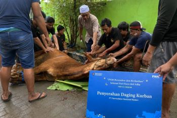 PNM salurkan hewan kurban kepada warga di Surabaya