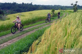 Objek wisata Jatiluwih raih penghargaan Asian Tourism & Hospitality Awards 2025-2026
