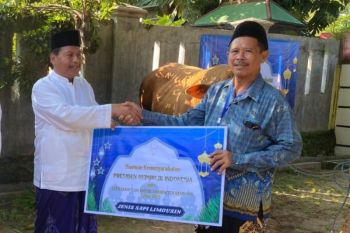 Warga Rembang sembelih sapi bantuan presiden berbobot 1,06 ton