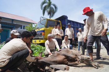 PLN UID Sumbar tebarkan semangat kurban dan kepedulian sosial untuk masyarakat