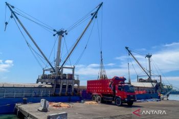 Pelabuhan Cirebon menyulam ulang identitas maritimnya