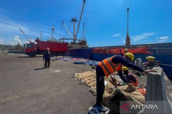 Spektrum - Pelabuhan Cirebon menyulam ulang identitas maritimnya