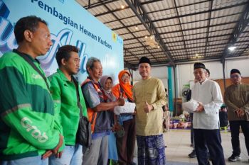 PLN salurkan 261 hewan kurban untuk 22.753 warga Jawa Timur