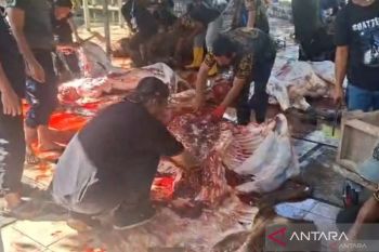 Sudin KPKP Jaktim pastikan daging kurban aman, 55,7 Kg organ afkir dipisahkan