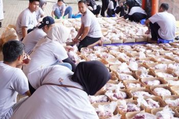 Askrindo salurkan 59 hewan kurban di 30 kota