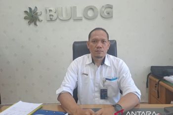 Bulog Bangka pastikan stok beras bantuan pangan cukup