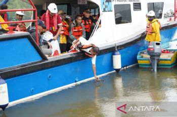 Pemerintah Mimika bangun tempat pembesaran kepiting