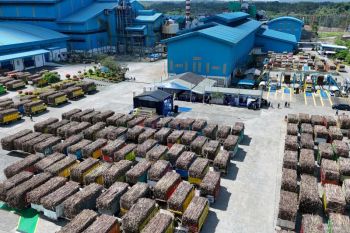 Jatim targetkan sumbang 51 persen produksi gula nasional