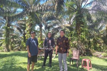 KUR BRI perkuat UMKM produktif di Bengkayang