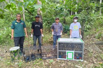 BKSDA gagalkan pengiriman 203 ekor burung ilegal di Tol Trans Sumatera ruas Bakter