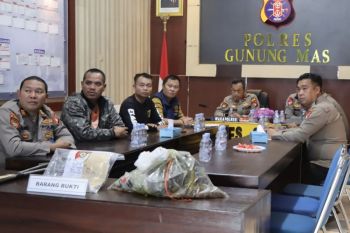 Polres Gunung Mas ungkap kasus pencurian sawit di Manuhing
