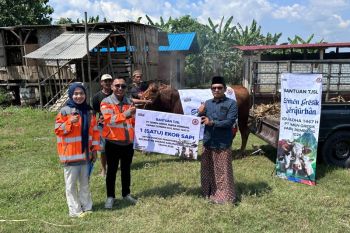 Semen Gresik kurban 12 ekor sapi dan 4 ekor kambing ke Rembang dan Blora